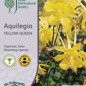 Mr Fothergills RHS Aquilegia Yellow Queen 150 Seeds