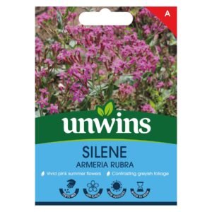Unwins flower Silene armeria Rubra - 200 Seeds