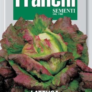 Franchi Seeds of Italy Lettuce Canasta Seeds