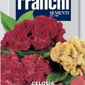 Franchi Seeds of Italy - Flower - FDBF_ 312-1 - Celosia cristata - Multicolour - Seeds