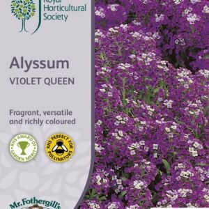 Mr Fothergills RHS Alyssum Violet Queen 1500 Seeds