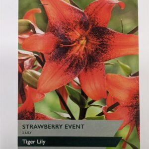 Taylors Flower - Lily - Strawberry Event - Tiger Lilies