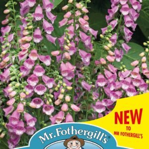 Mr Fothergills - Flower - Foxglove - Bubbly Pink F1 - 20 Seeds
