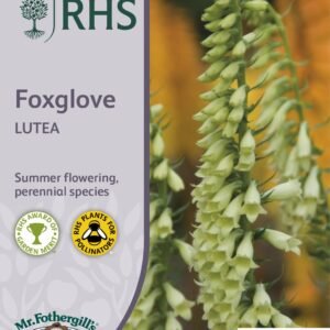 Mr Fothergills - RHS - Flower - Foxglove - Lutea - 1000 Seeds
