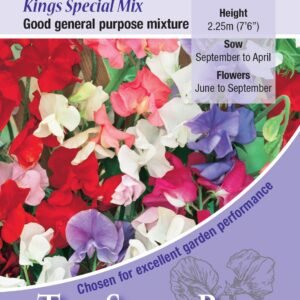 Kings Seeds Sweet Pea Kings Special Mix 35 Seeds