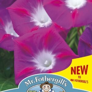 Mr Fothergills Morning Glory Party Dress 30 Seeds