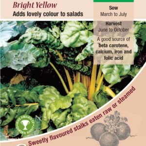 Kings Seeds Leaf Beet Bright Yellow RHS AGM 125 Seeds