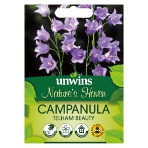 Unwins Flower Campanula Telham Beauty - 200 Seeds