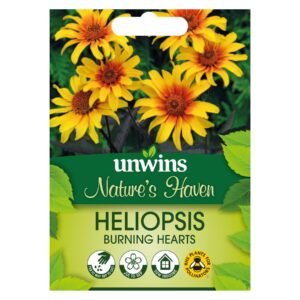 Unwins Flower Heliopsis Burning Hearts - 20 Seeds