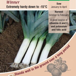 Kings Seeds Leek Winner 500 Seeds