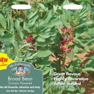 Mr Fothergills Broad Bean Crimson Flowered 50 Seeds