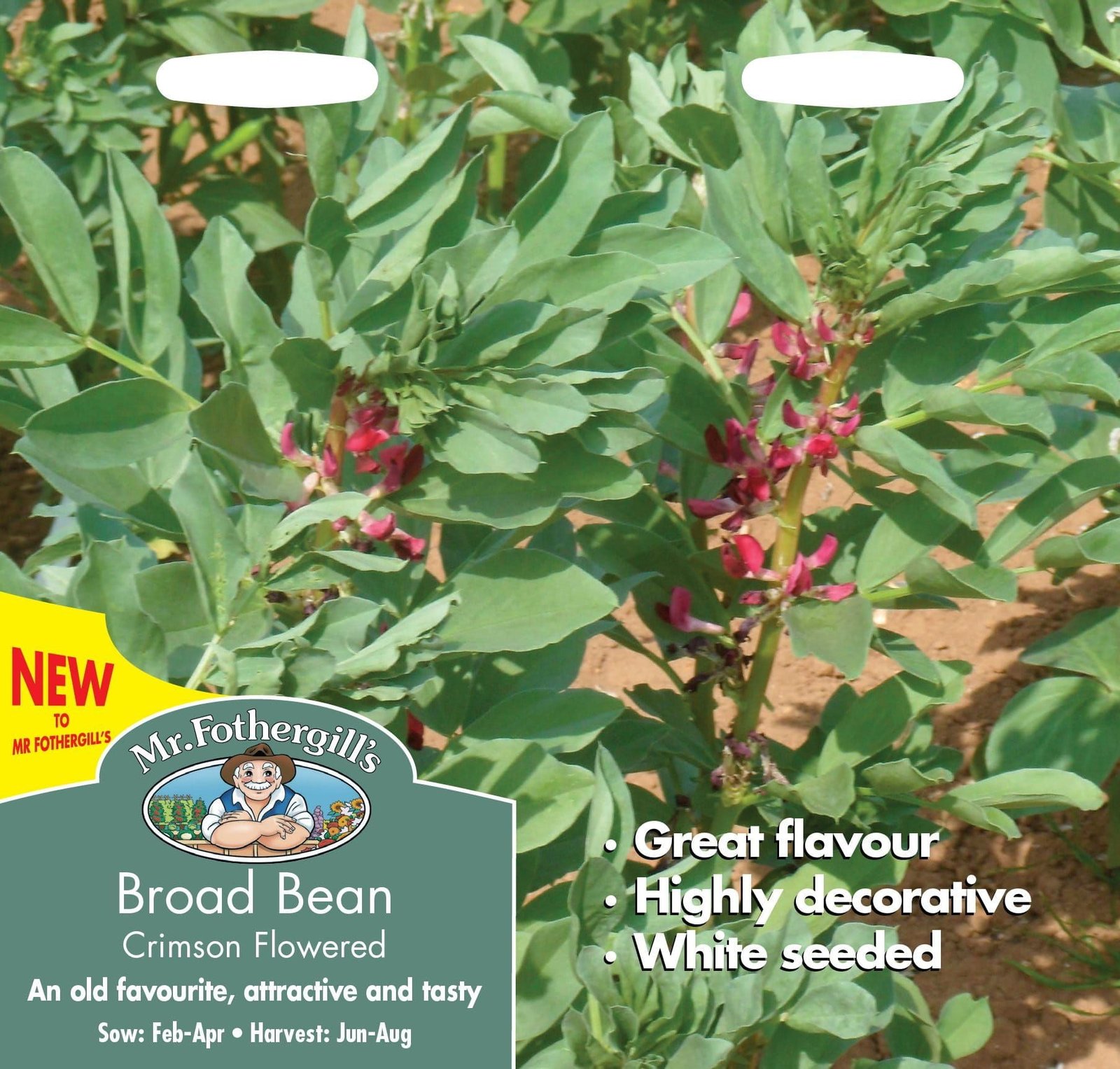 128275_Broad_Bean_Crimson_Flowered_comp_61999156-20e9-40ff-9820-784098a86456.jpg