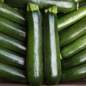 Courgette Midnight F1 Hybrid Seeds