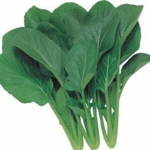 Komatsuna Japanese Green Boy Seeds
