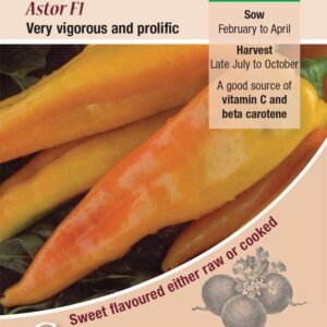 Kings Seeds Sweet Pepper Astor F1 - 7 Seeds