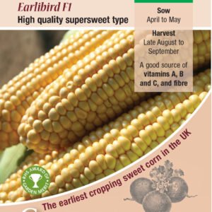 Kings Seeds Sweet Corn Earlibird F1 - 50 Seeds