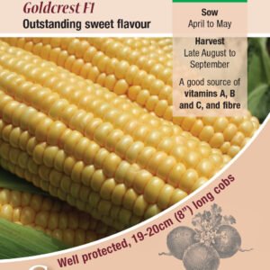 Kings Seeds Sweet Corn Goldcrest F1 - 50 Seeds