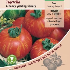 Kings Seeds Tomato Tigerella 75 Seed