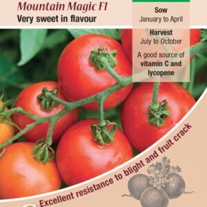 Kings Seeds Tomato Mountain Magic F1 Hybrid 6 Seeds