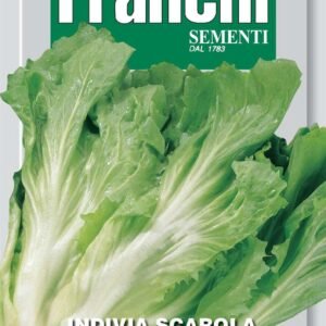 Franchi Seeds of Italy Endive Cornetto Di Bordeaux Seeds