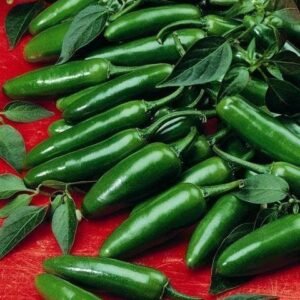 Pepper (Chilli) Serrano Seeds