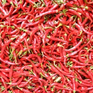 Organic Pepper (Chilli) Ring of Fire Seeds