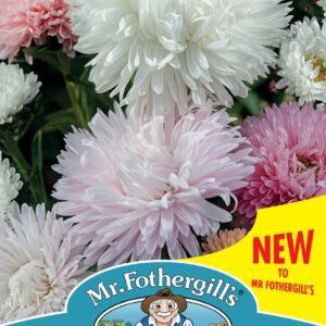 Mr Fothergills - Flower - Aster - The Roses - 100 Seeds