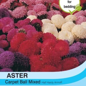 Thompson & Morgan Aster Carpet Ball Mixed 185 Seed