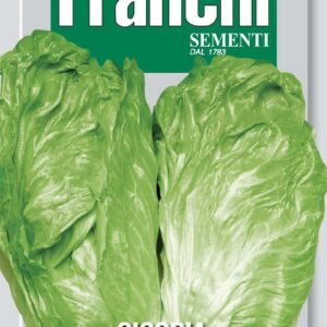 Franchi Seeds of Italy - DBO 40/3 - Chicory - Bianca Di Milano - Seeds