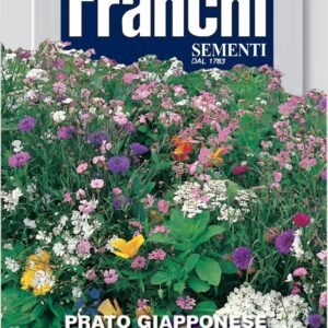 Franchi Seeds of Italy - Flower - FDBF_ 346-1 - Japanese Lawn - Mix of Annuals Flowering Lawn - Seeds