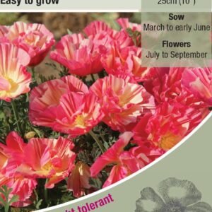 Kings Seeds  Eschscholtzia Thai Silk Rose Chiffon Seeds