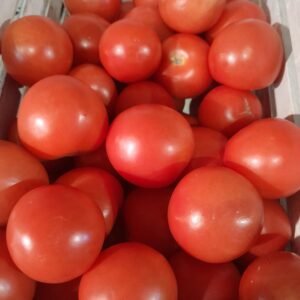 Tomato Alicante Seeds