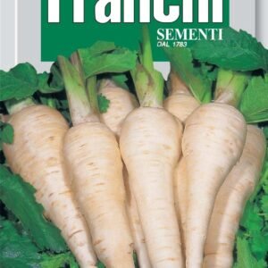 Franchi Seeds of Italy Parsnip Dugi Bijeli Seeds