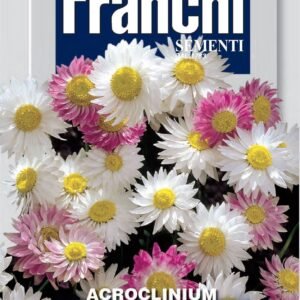 Franchi Seeds of Italy - Flower - FDBF_ 300-50 - Acroclinium - Double Mix - Seeds