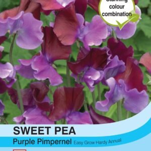 Thompson & Morgan - Flower - Sweet Pea - Purple Pimpernel - 20 Seeds