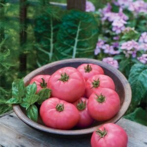Tomato Big Pink F1 Hybrid Seeds