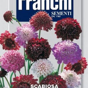 Franchi Seeds of Italy - Flower - FDBF_ 349-30 - Scabiosa - Mix - Seeds