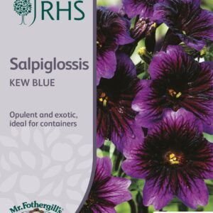 Mr Fothergills - RHS - Flower - Salpiglossis - Kew Blue - 50 Seeds
