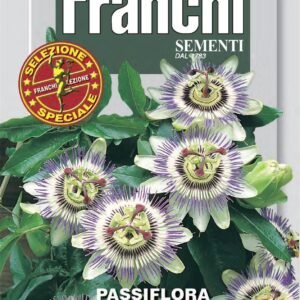 Franchi Seeds of Italy - Flower - FDBF_S 341-30 - Passion Flower - Passiflora - Seeds