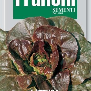 Franchi Seeds of Italy Lettuce Parella Rossa / Rouge De Montpellier Seeds