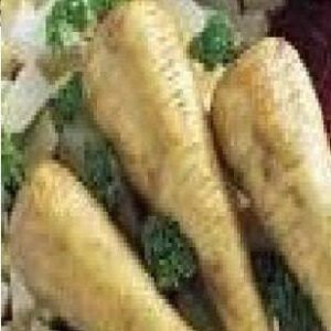 Parsnip Half Long Guernsey Seeds