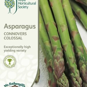 Mr Fothergills RHS Asparagus Connover's Colossal 50 Seeds