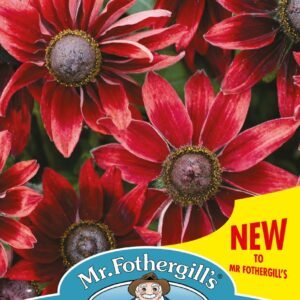 Mr Fothergills - Flower - Rudbeckia - Cherry Brandy - 35 Seeds
