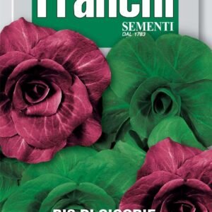 Franchi Seeds of Italy Chicories Seeds