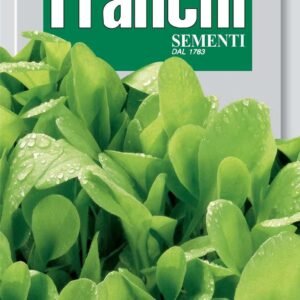 Franchi Seeds of Italy Chicory Da Taglio Bionda A Foglie Larghe Seeds