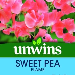Unwins Sweet Pea Flame 21 Seeds