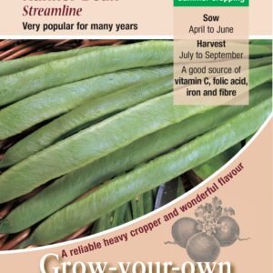 Kings Seeds Runner Bean Streamline 45 Seeds