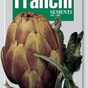Franchi Seeds of Italy - DBO 21/2 - Artichoke - Violetto Precoce - Seeds