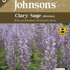 Johnson Seeds - Organic Flower - Clary Sage (Biennial) - 150 Seeds