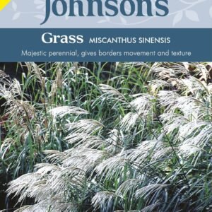 Johnson Seeds - Ornamental Grass - Miscanthus Sinensis - 50 Seeds